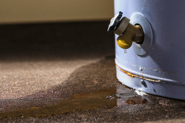 Best Flood damage cleanup  in Uintah, UT