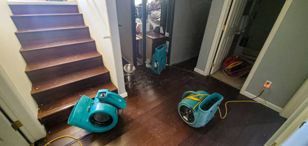Best Flooded house restoration  in Uintah, UT