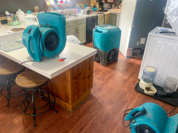 Water damage restoration experts in Uintah, UT