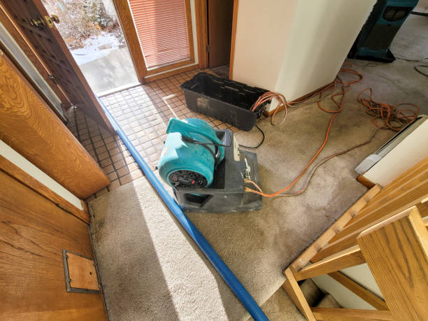 Best Residential water damage restoration  in Uintah, UT