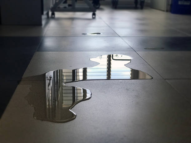 Best Ceiling water damage repair  in Uintah, UT