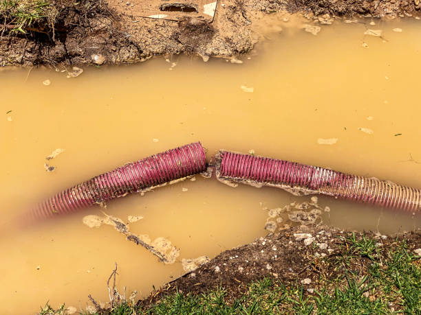 Best Water damage restoration insurance claims  in Uintah, UT