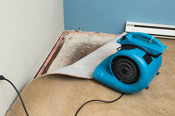 Uintah, UT Water damage restoration Company